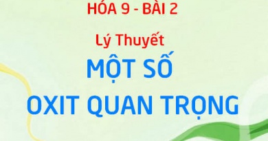 Canxi Oxit CaO, Lưu huỳnh Dioxit SO2 tính chất hóa học và Ứng dụng - Hóa 9 bài 2